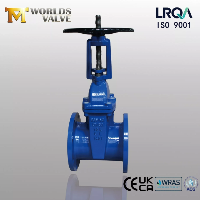 ResilientSeatedGateValve 대 금속 시트 게이트 밸브 — 알아야 할 사항