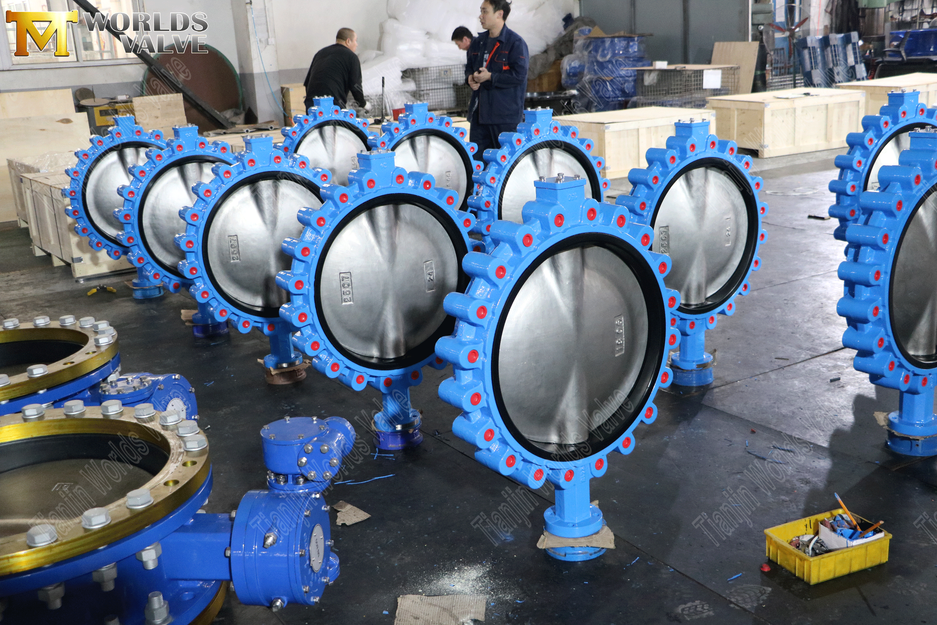 벌레 기어 연산자가있는 러그 동심 나비 vavles (5)