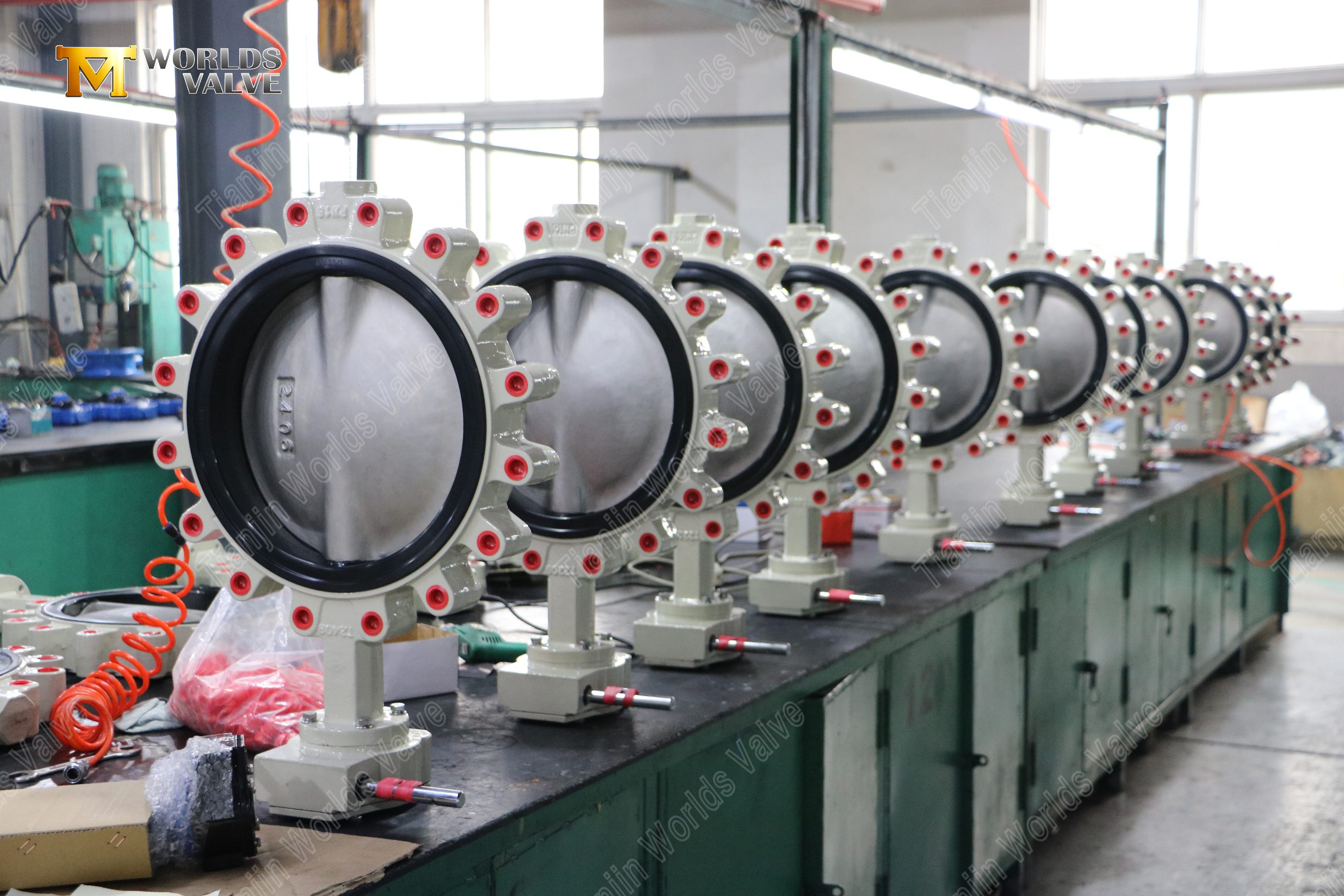 나일론으로 덮인 DI 디스크가 있는 웜기어 러그 버터플라이 밸브 (6)