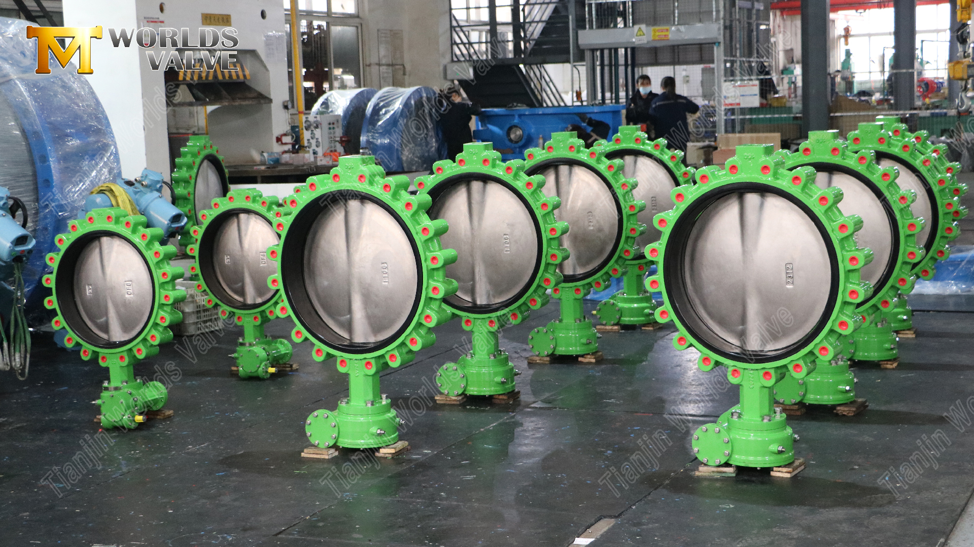 PN16-LUG-Butterfly-Valve-Ductile-Iron-Body-&-CF8M-Disc-8