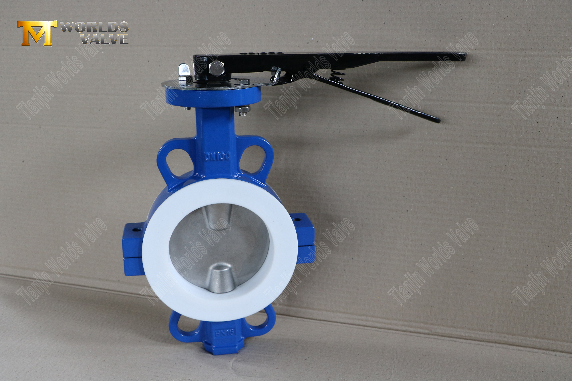 DN100-TEFLON-LINED-WAFER-SPLIT-BODY-BUTTERFLY-VALVES-코리온 방지-흐름 대상-(1)