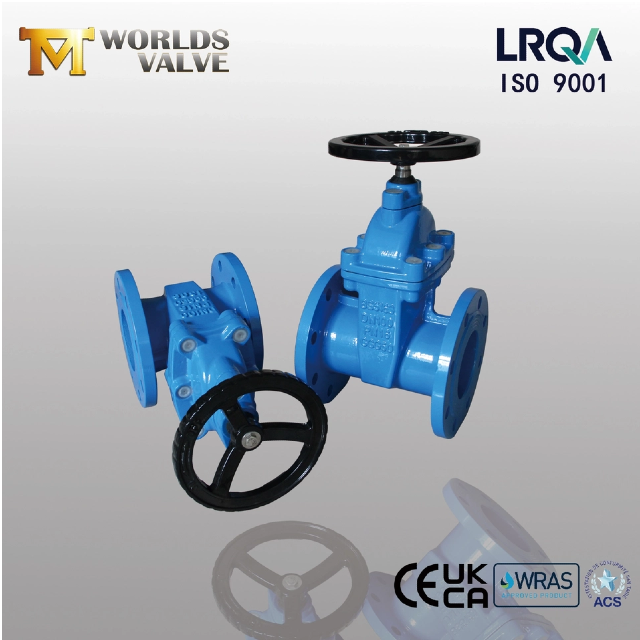 ResilientSeatedGateValves의 유형 및 특수 기능 탐색