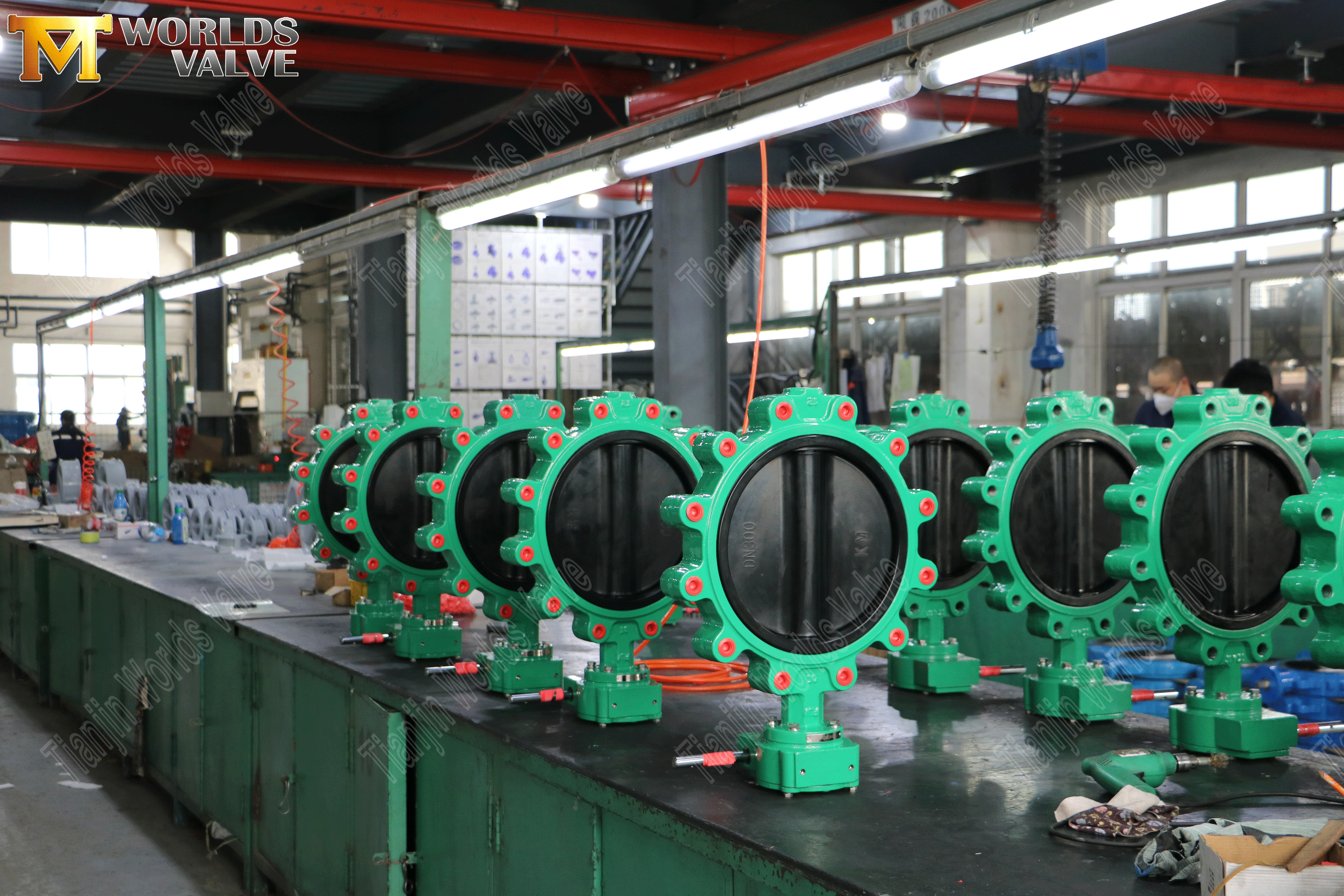 벌레 기어 연산자가있는 러그 동심 나비 vavles (7)