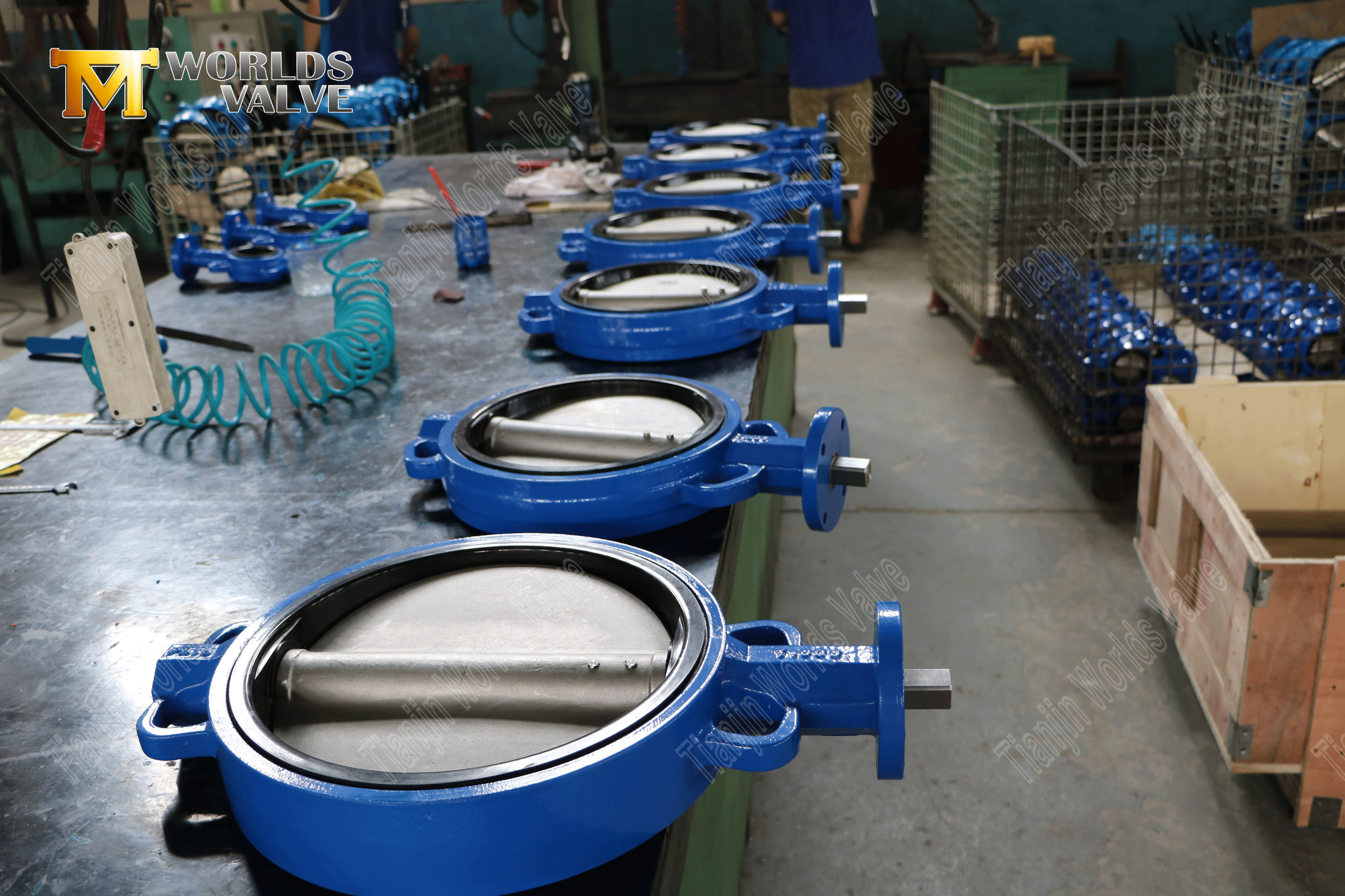 웜 기어 작동 웨이퍼 타입 나비 밸브 고무가 늘어선 (3)