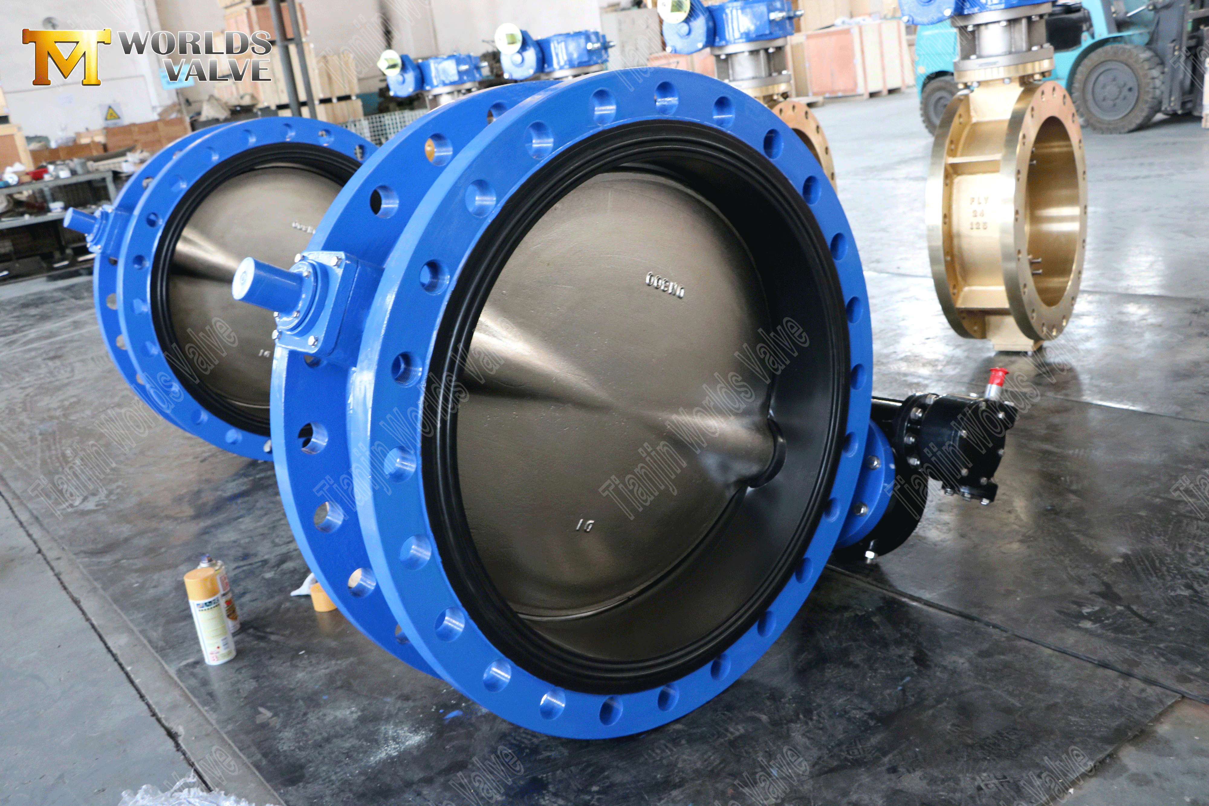 나비 밸브 제조업체 - 탄력성 장착 된 이중 플랜지 나비 밸브 (1)