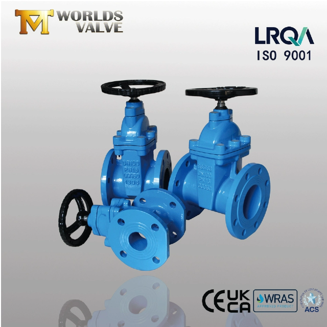 ResilientSeatedGateValve는 실제로 어떻게 작동합니까?