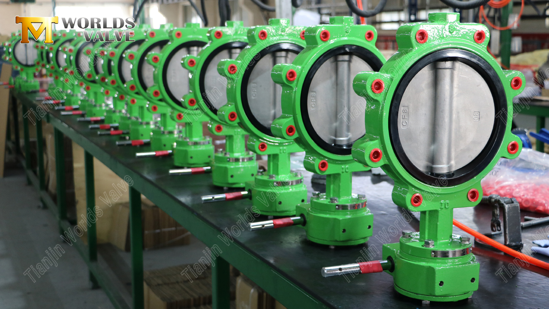 PN16-LUG-버터플라이-밸브-연성-철-본체-&-CF8M-디스크-7