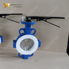 DN100 Teflon Lined Wafer Split Body Butterfly Valves | 부식 방지 흐름 제어