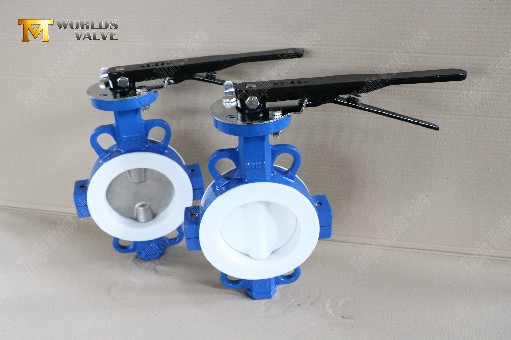 DN100-TEFLON-LINED-WAFER-SPLIT-BODY-BUTTERFLY-VALVES-CORROSION-restant-Flow-Control- (2)