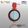 나일론 코팅 디스크 및 WCB 바디가있는 웨이퍼 나비 밸브 | 비용 효율적인 부식 저항