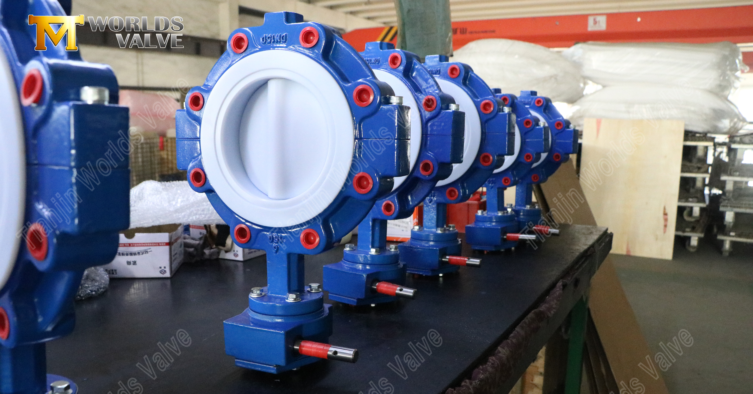 분할 본체 테플론 밀폐형 러그 버터플라이 밸브 (1)