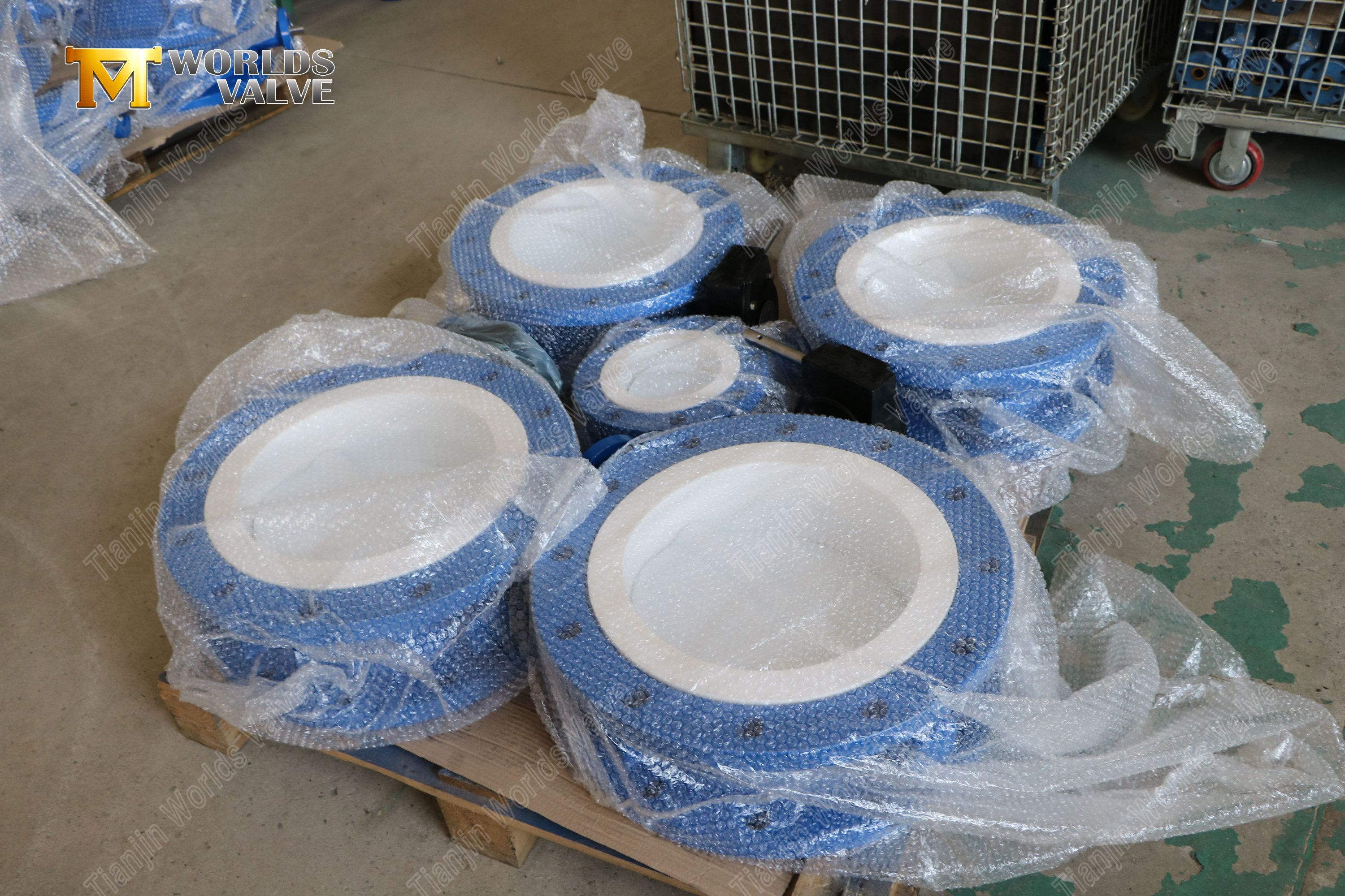 PTFE 라이닝 플랜지 버터플라이 밸브-1 (3)