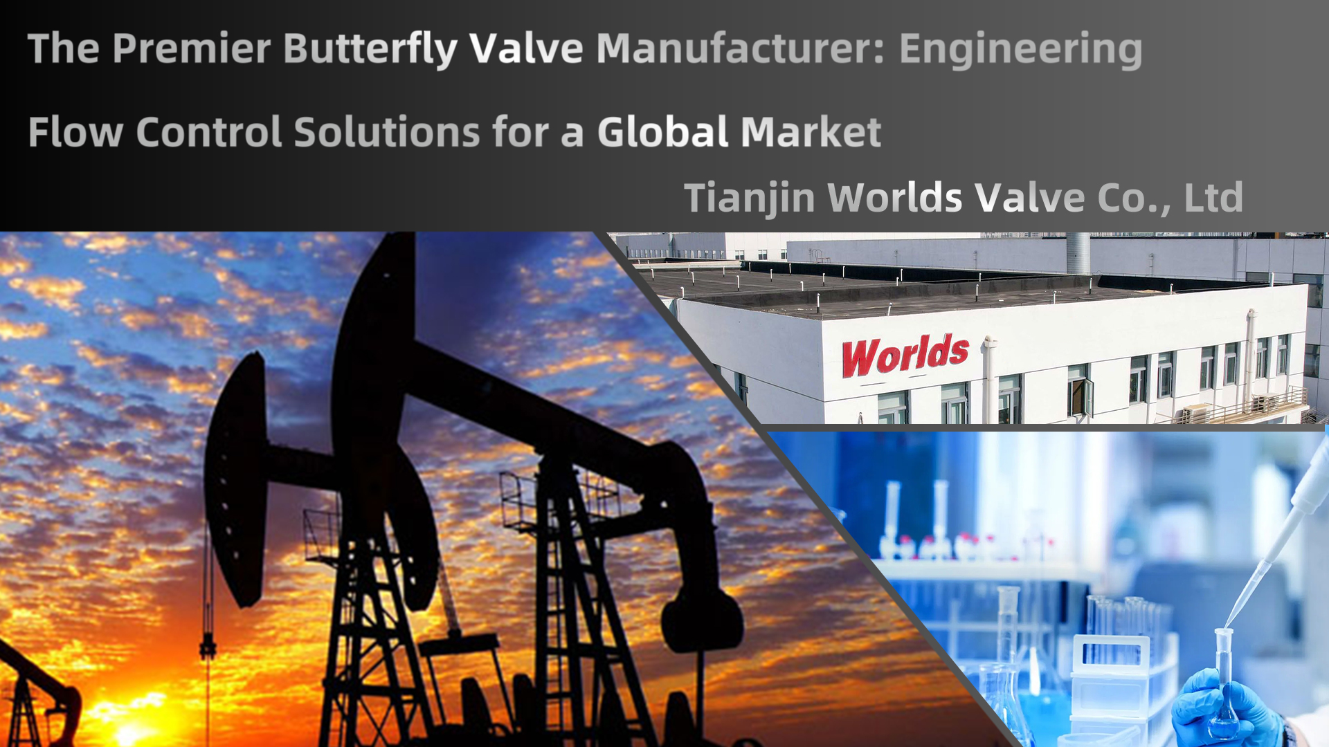 최고의 버터플라이 밸브 제조업체: 글로벌 시장을 위한 엔지니어링 유량 제어 솔루션 | 천진세계밸브유한회사