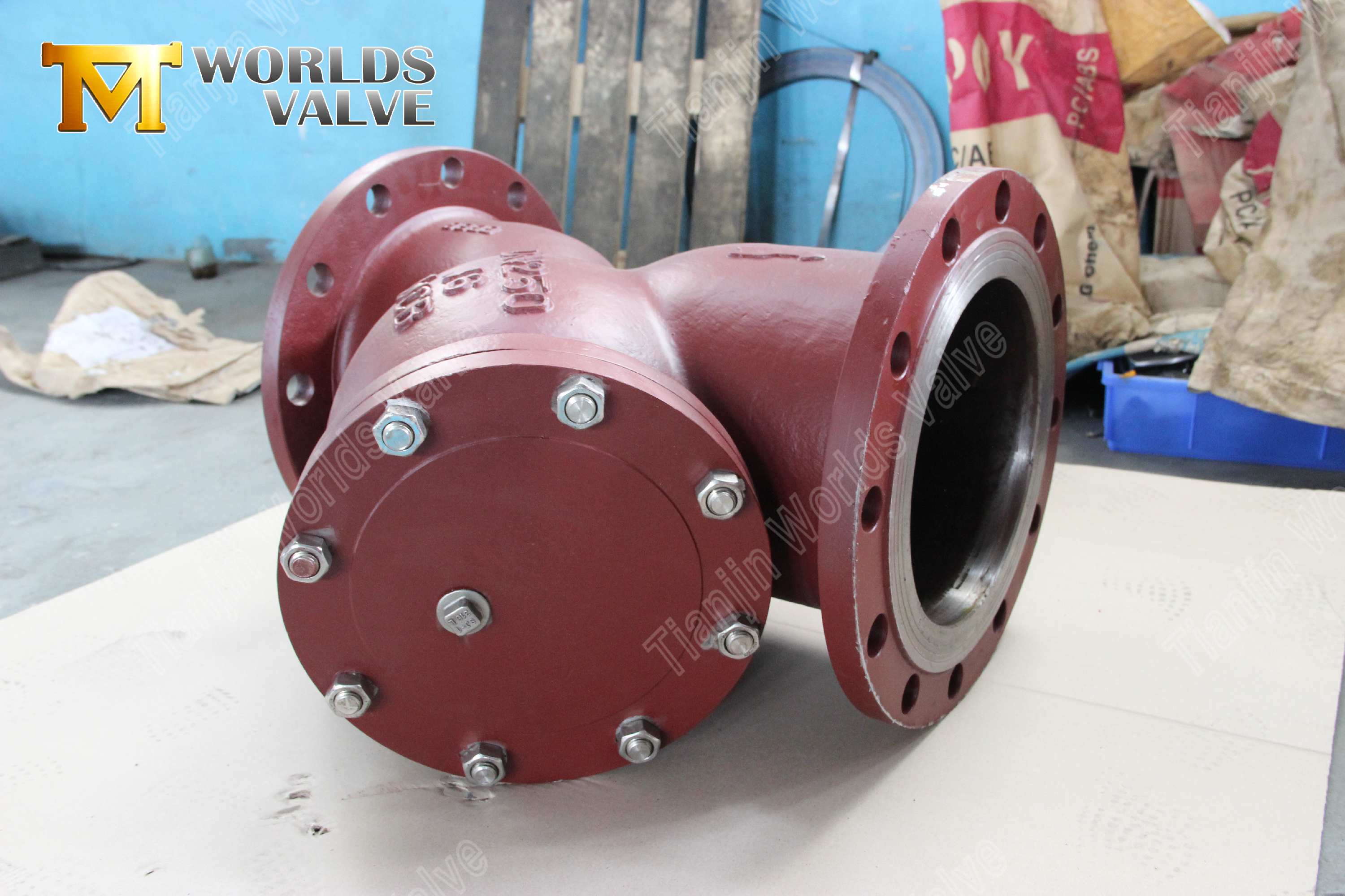 플랜지 Y형 스트레이너 WCB 탄소강 산업용 파이프라인 보호 (8)