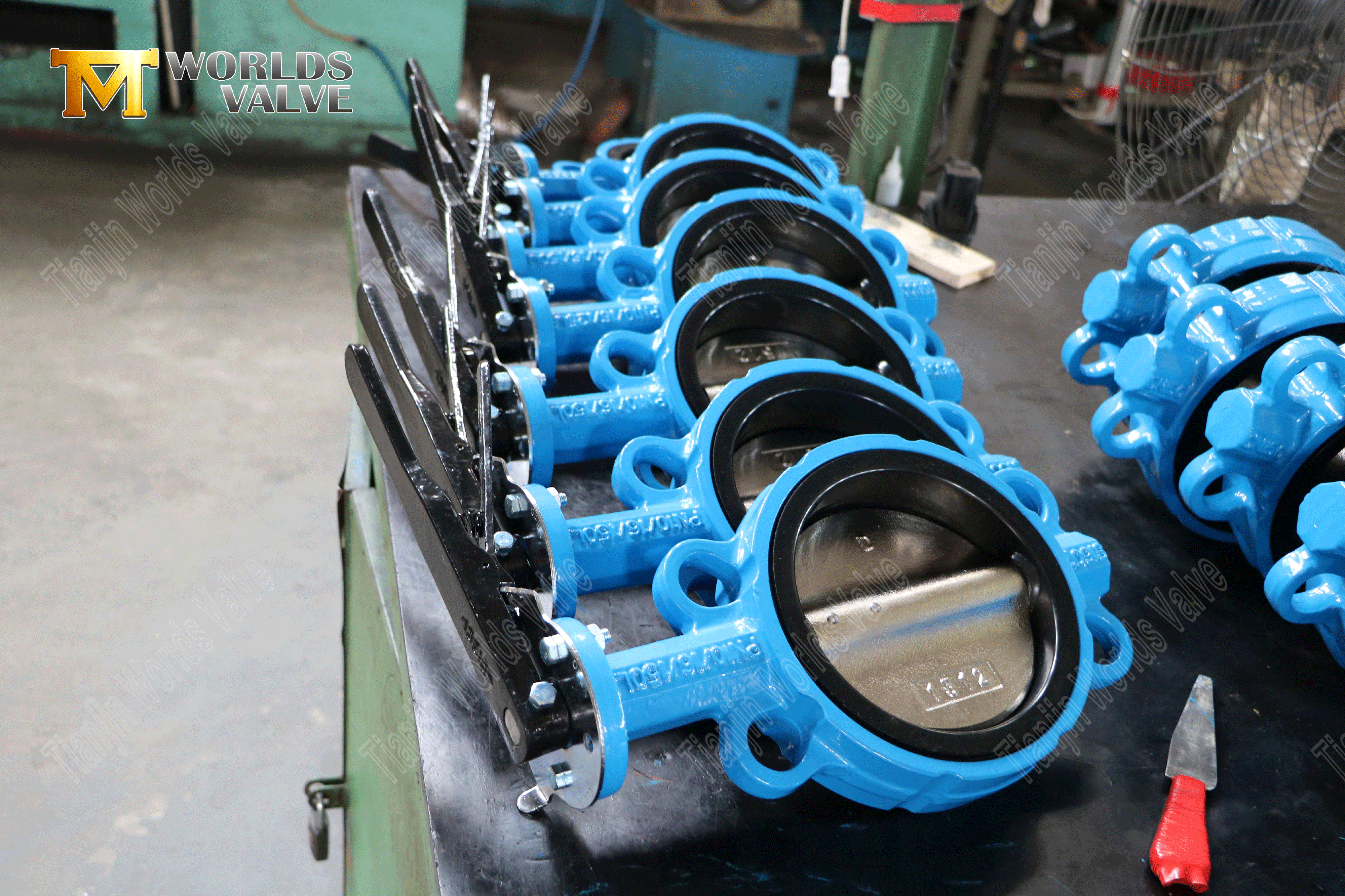 웜 기어 작동 웨이퍼 타입 버터 플라이 밸브가 늘어선 (4)