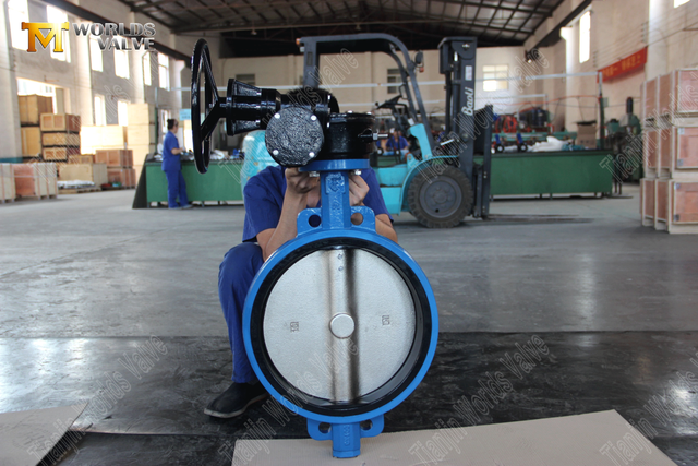 웜 기어 작동 웨이퍼 타입 고무가있는 나비 밸브