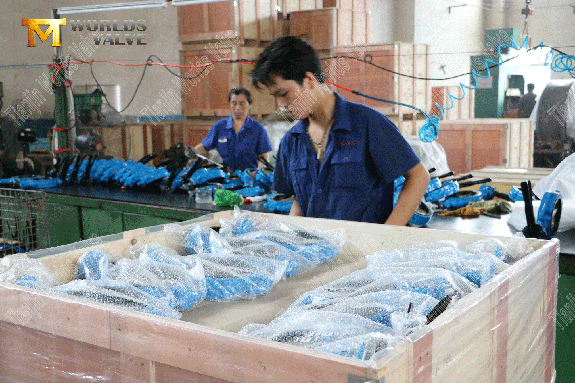 중국 밸브 제조업체 - 주철 웨이퍼 타입 나비 밸브 (8)