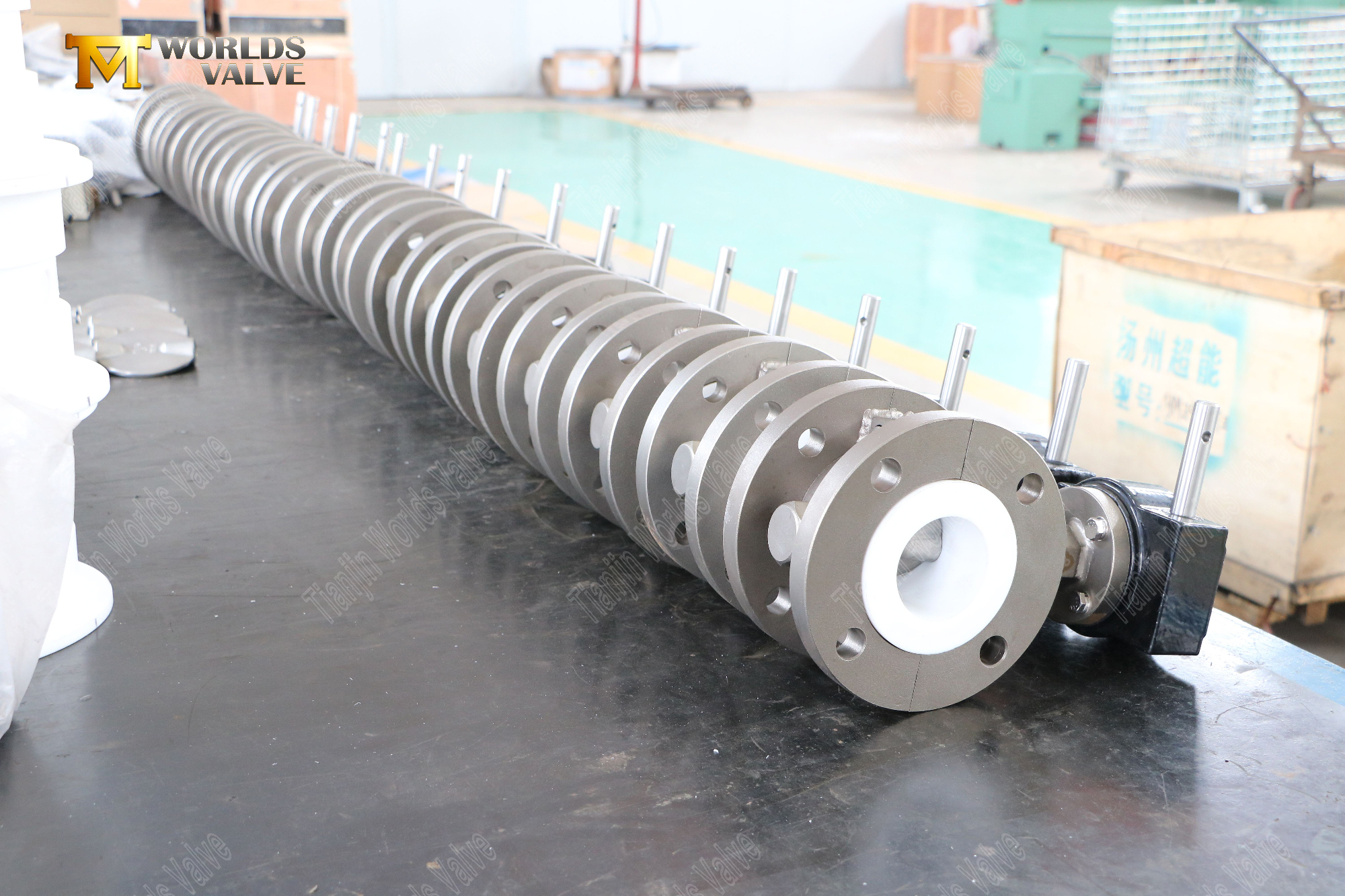 PTFE 시트 및 스테인리스 스틸 디스크 플랜지 나비 밸브 (10)