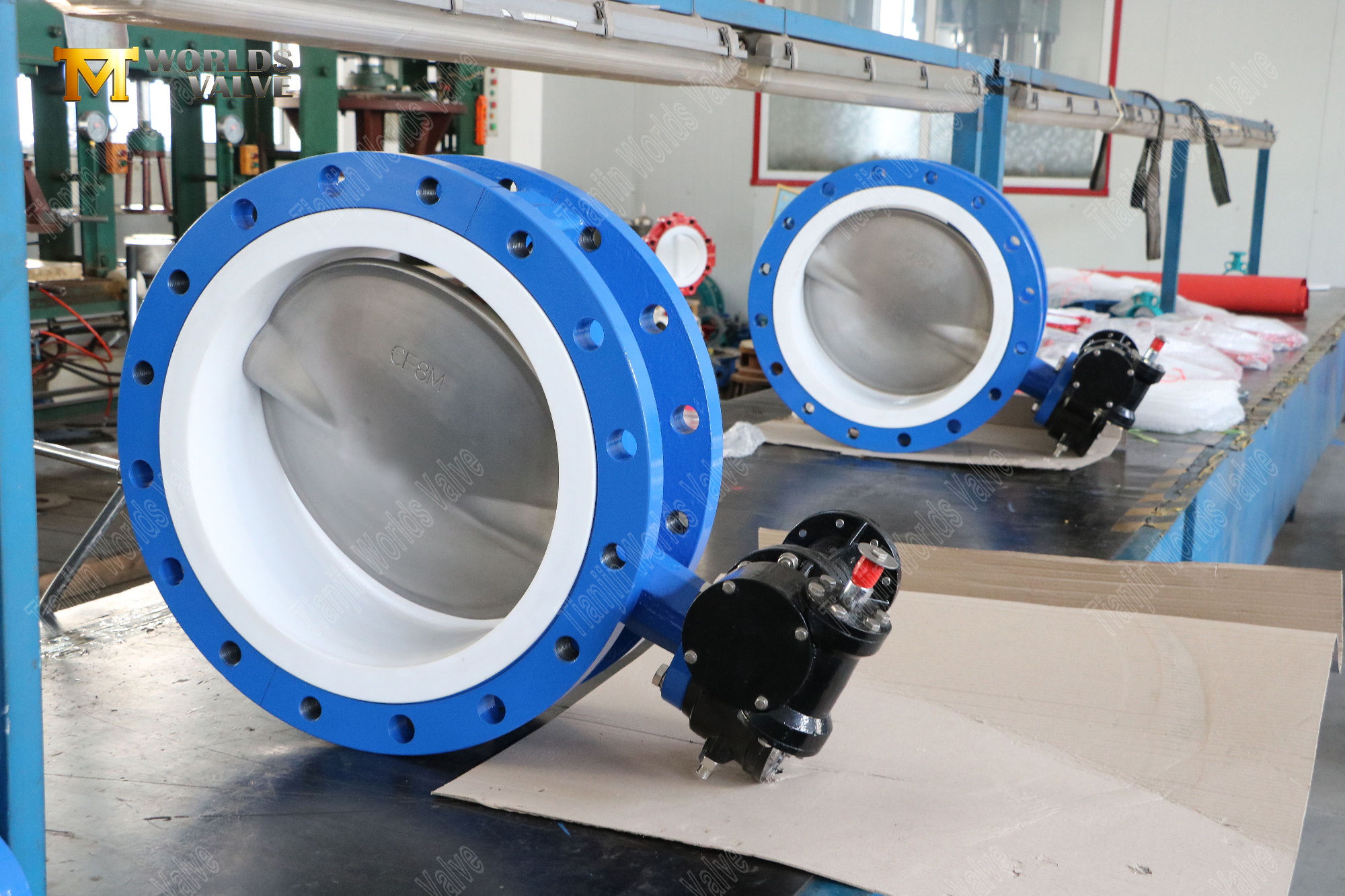 PTFE 시트 및 스테인레스 스틸 디스크 플랜지 나비 밸브 (7)