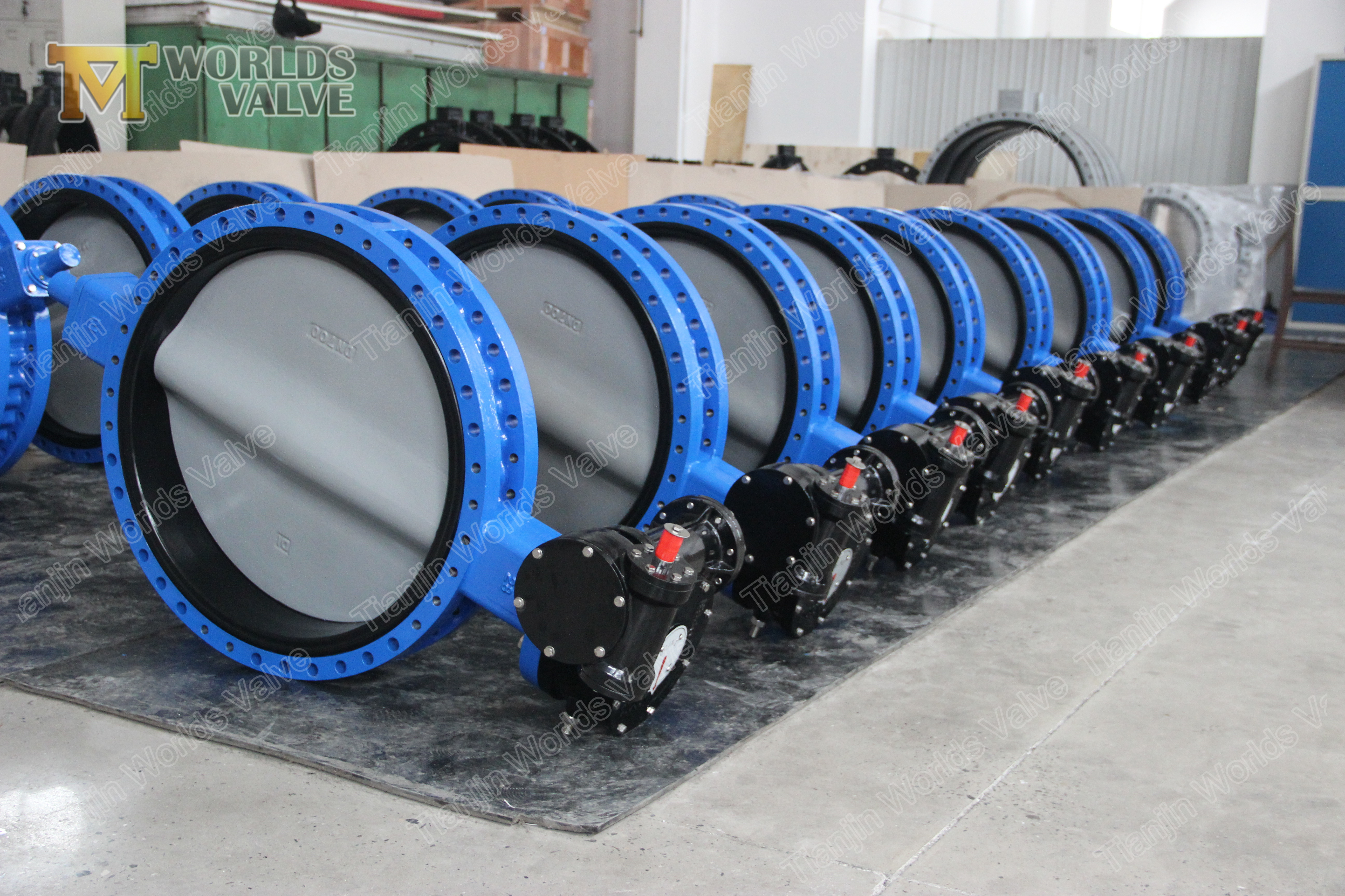 5 이중 플랜지 버터 플라이 밸브 Cartrige API609 클래스 150 PN10 PN16