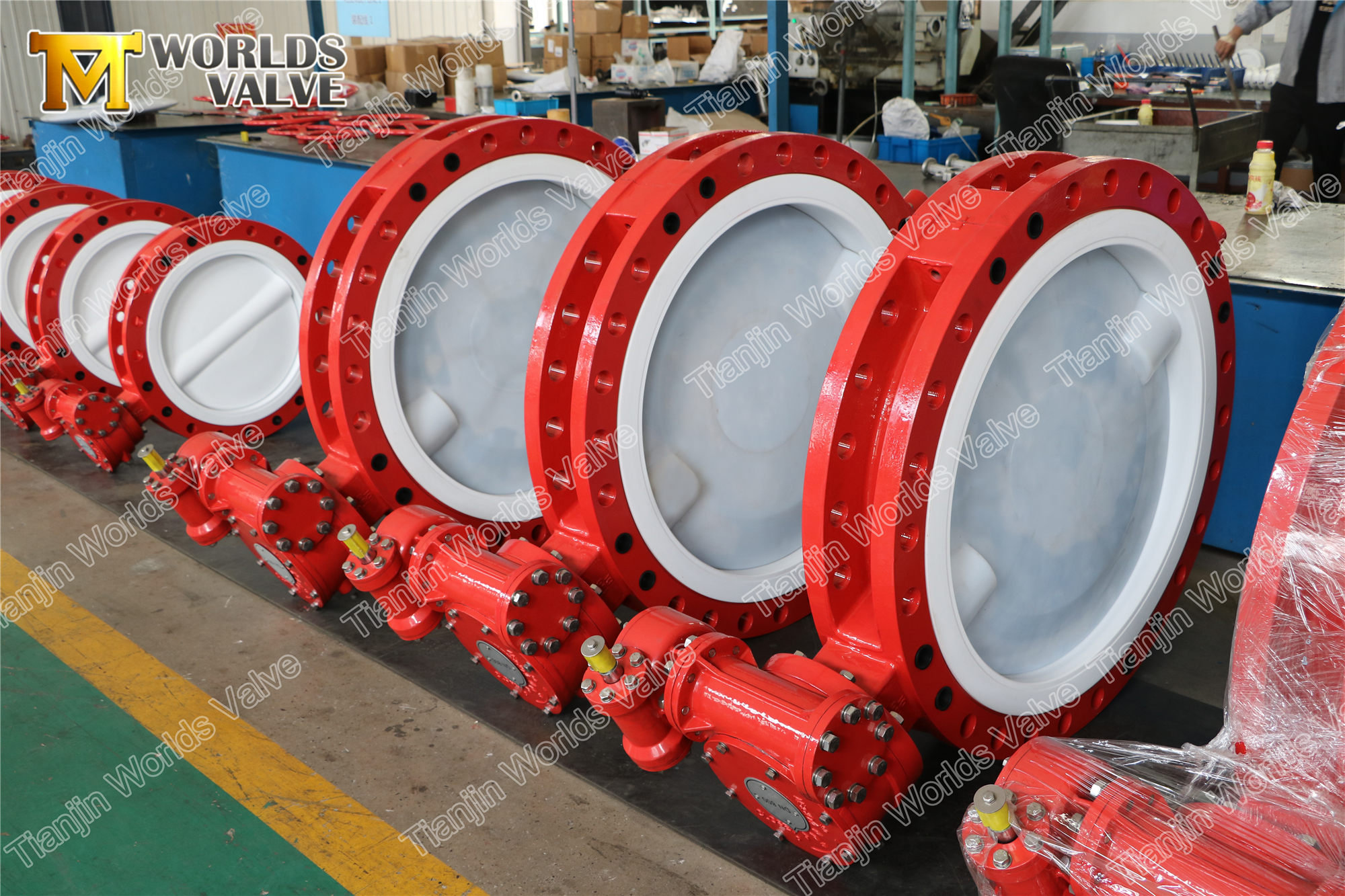 2 PFA 코팅 더블 플랜지 버터 플라이 밸브