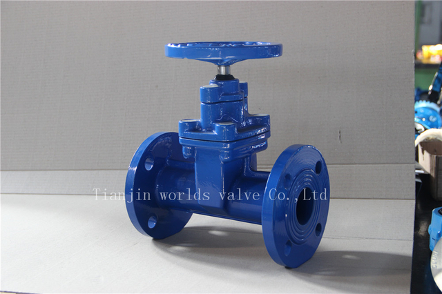 China OEM 밸브 공급 업체 DIN 3202 F5 연성 철 본체가있는 탄력성 시트 게이트 밸브