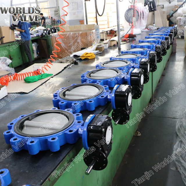 중국 천진에있는 저압 루즈 및 엔드 타입 버터 플라이 밸브