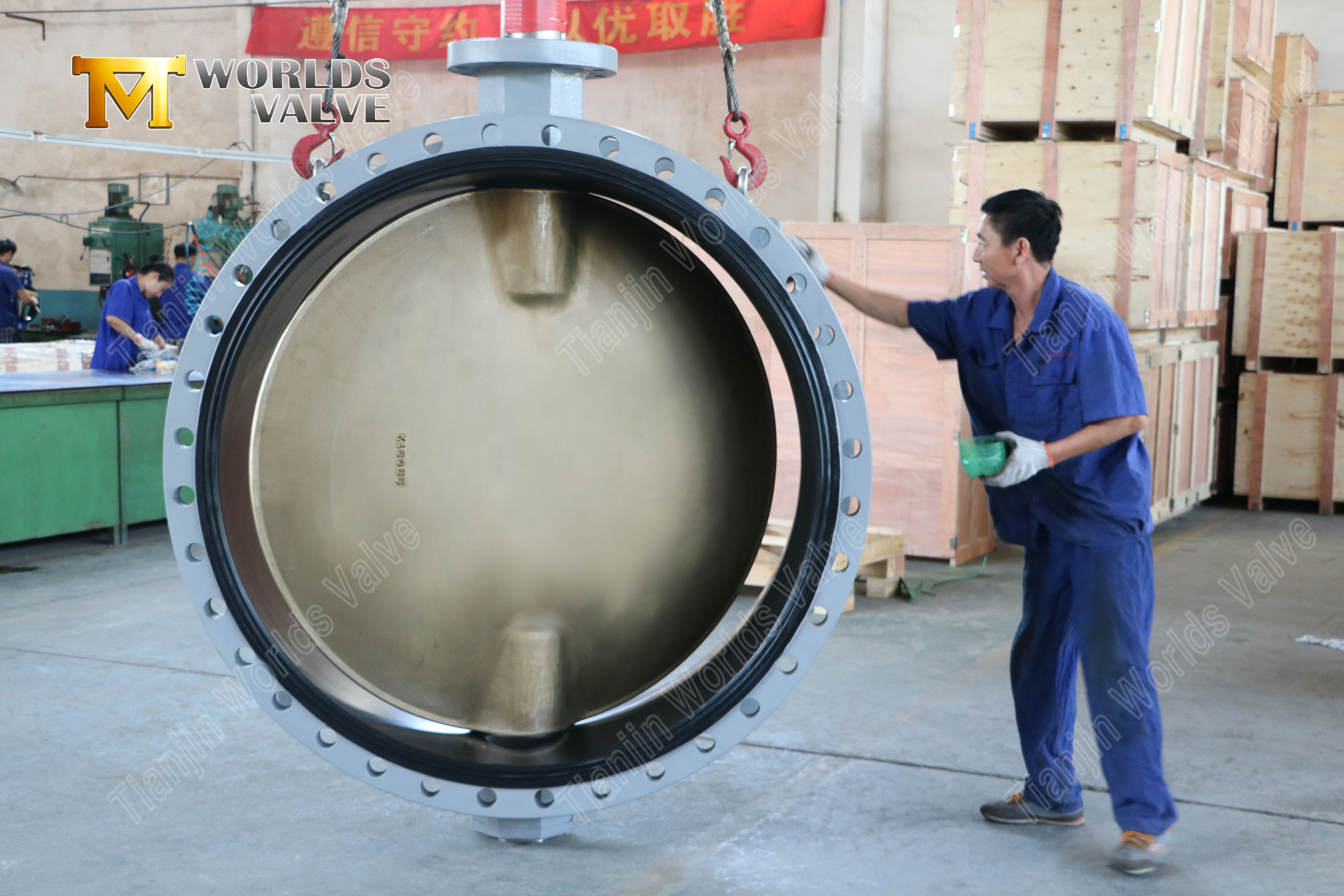 알루미늄 청동 디스크 이중 플랜지 버터플라이 밸브 (3)