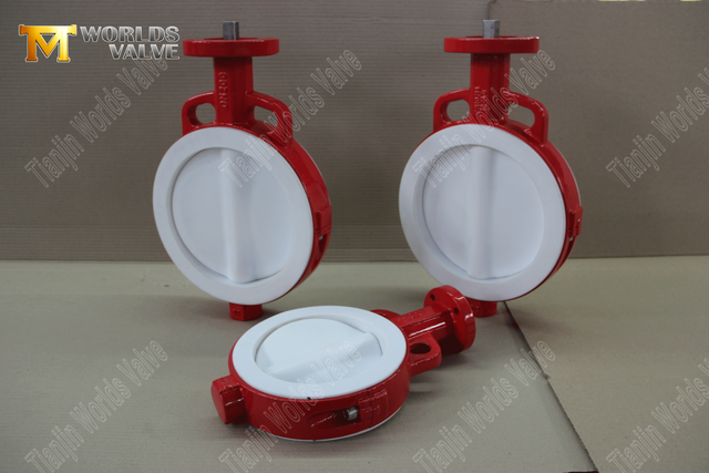 PTFE Lined Butterfly Valves-Wafer Type Butterfly Valve Factory의 중국