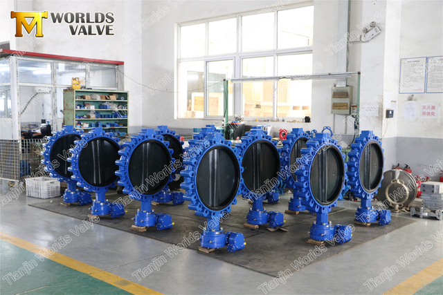 복동 공압 액추에이터가 있는 전체 러그 Halar 코팅 디스크 버터플라이 밸브