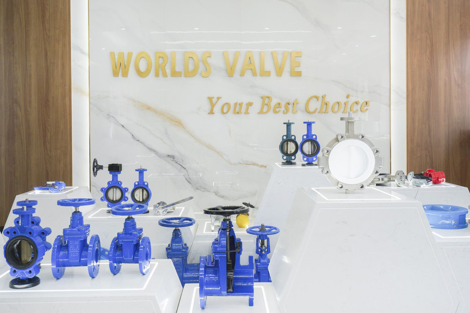 Tianjin-Worlds-Valve-Co-Ltd- (8)
