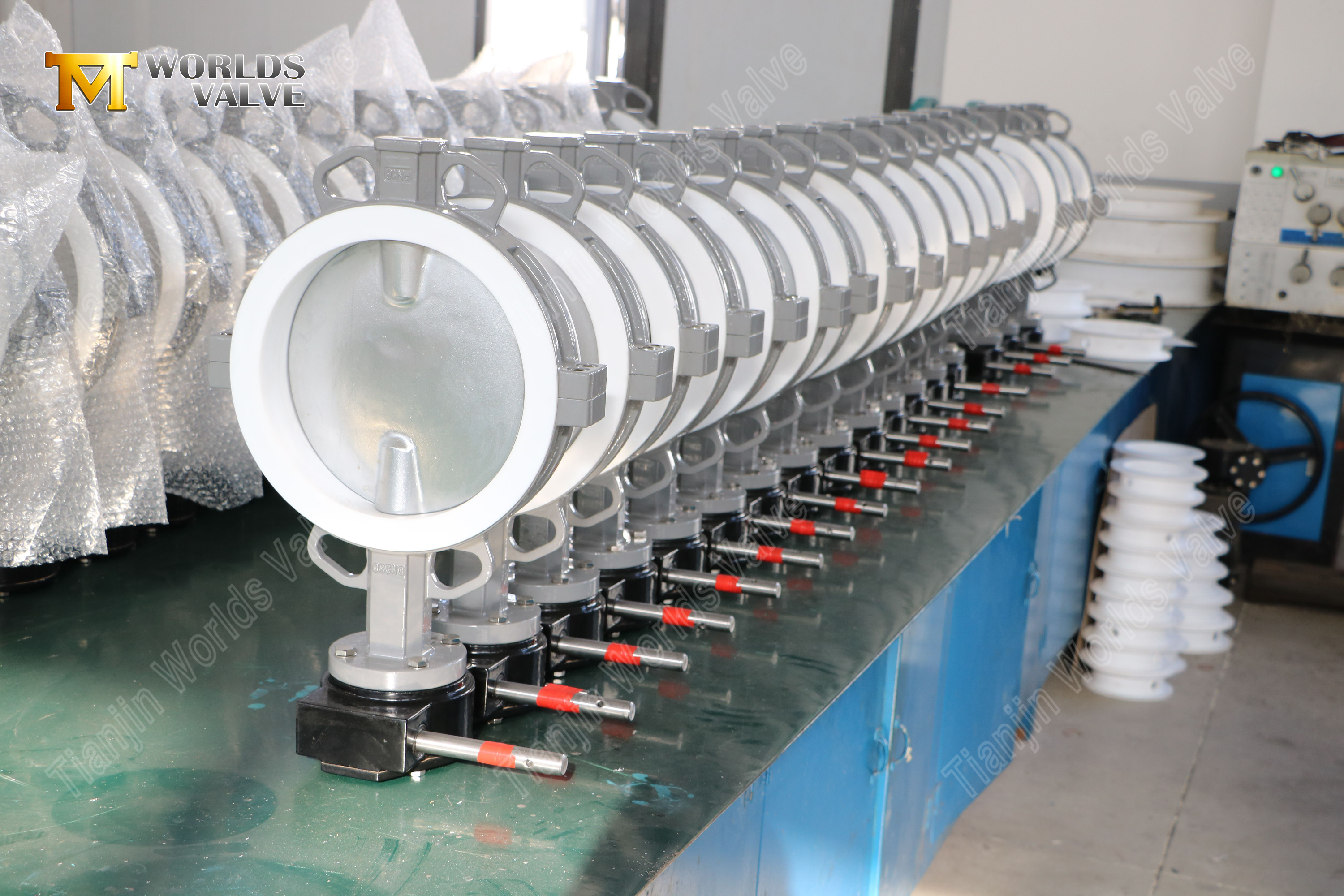 스플릿 바디 -ptfe-lined-ss-butterfly-valve-와의 파생 자극-5