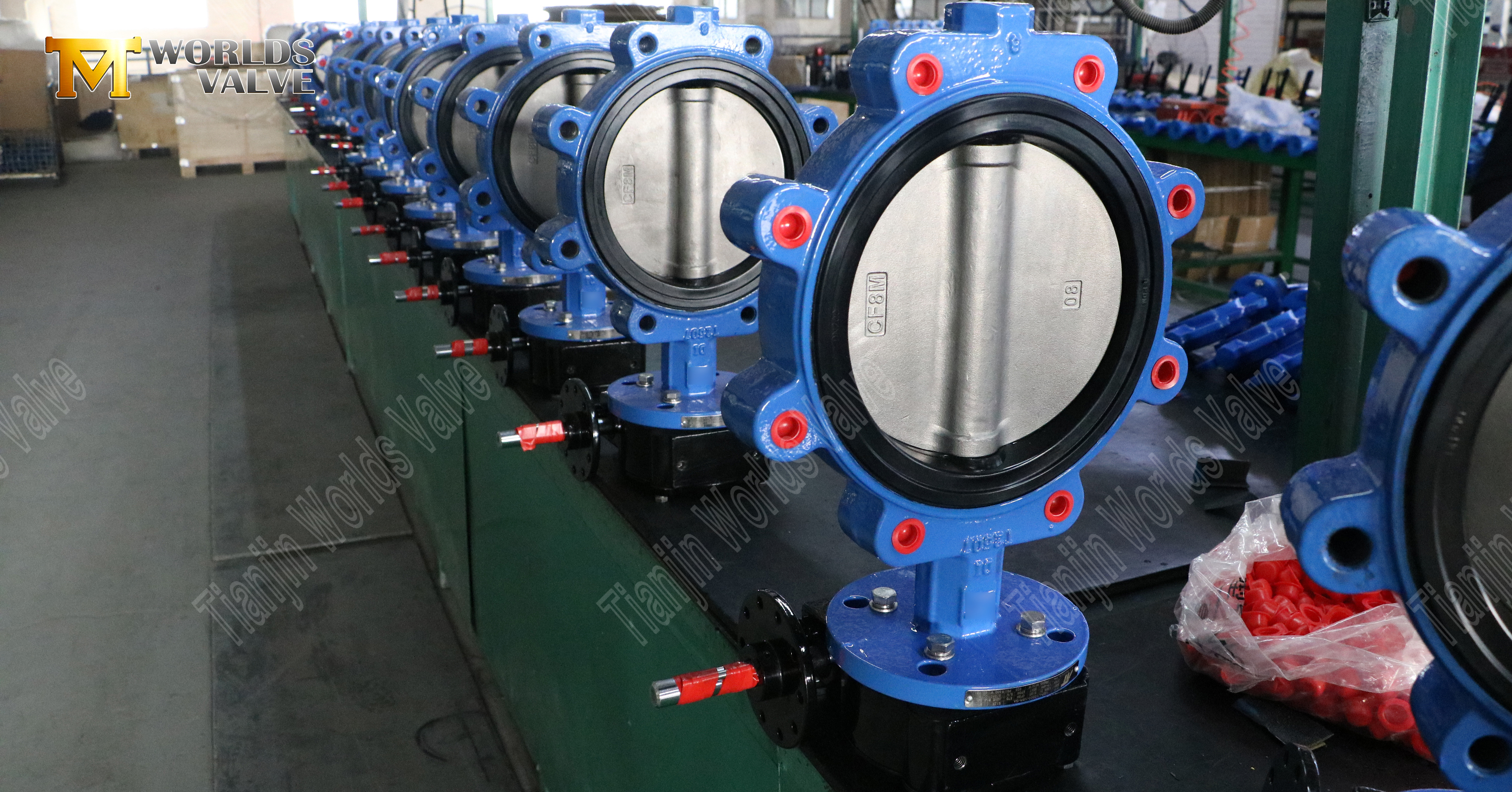 부드러운 고무 시트와 SS 디스크가 포함된 러그형 버터플라이 밸브(1)