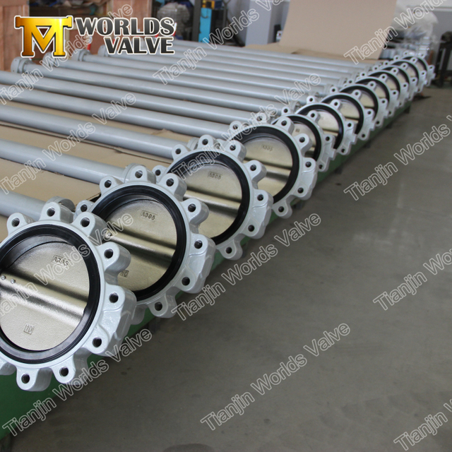 긴 / 연장 스템 / 샤프트가있는 양질의 러그 타입 나사 식 엔드 버터 플라이 밸브