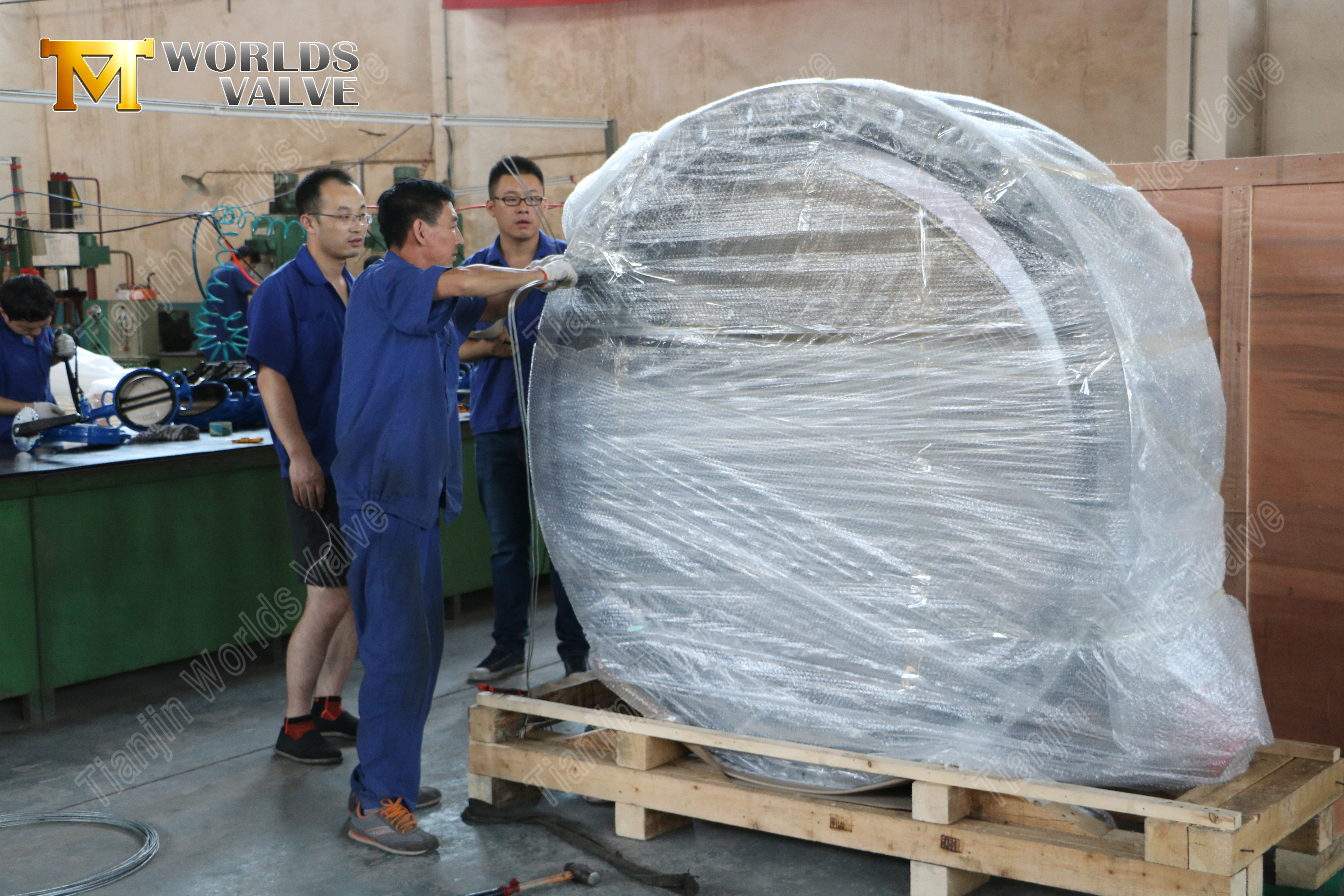 알루미늄 청동 디스크 이중 플랜지 버터플라이 밸브 (2)