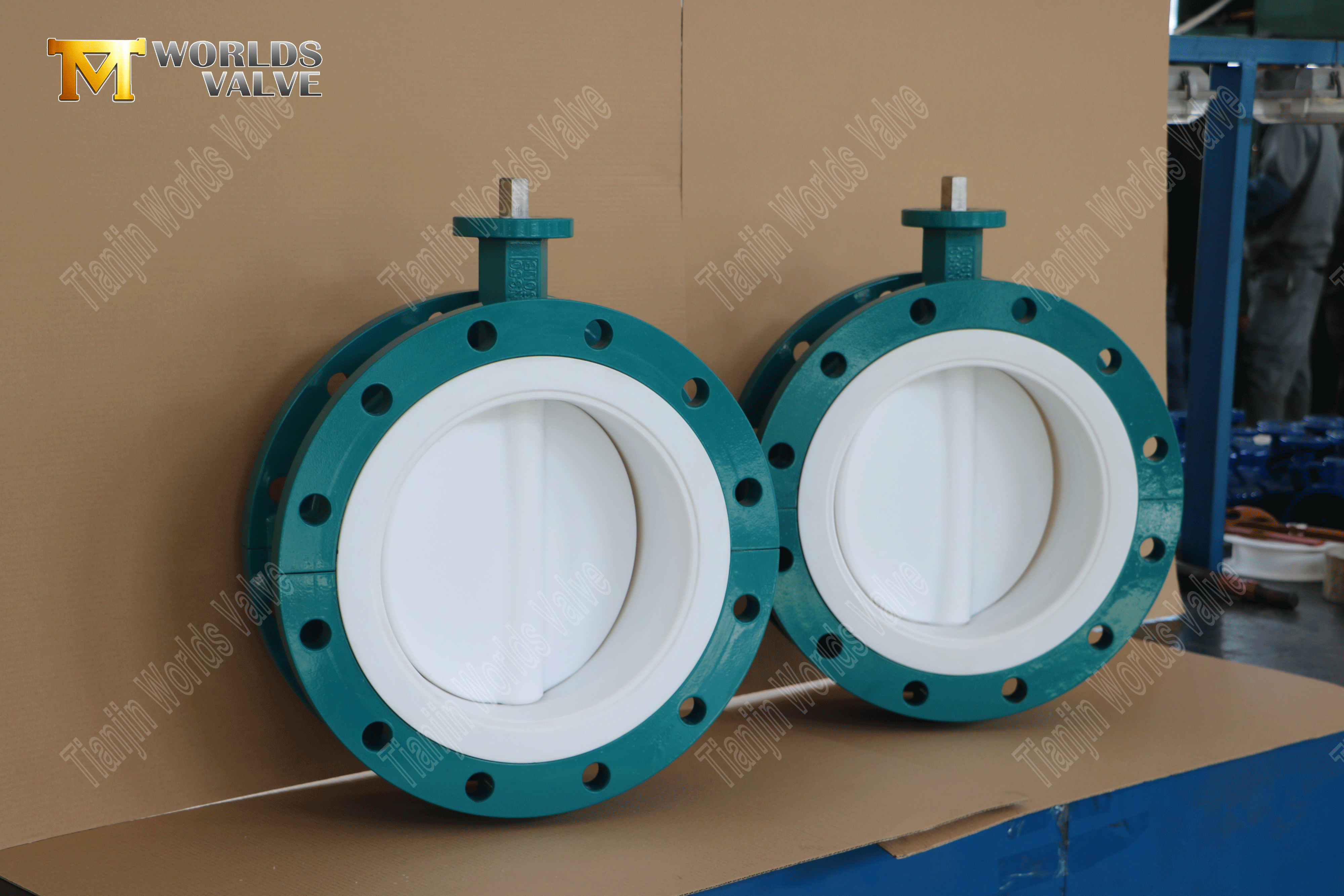 웜 기어 이중 플랜지 PTFE 안감 나비 밸브 (2)