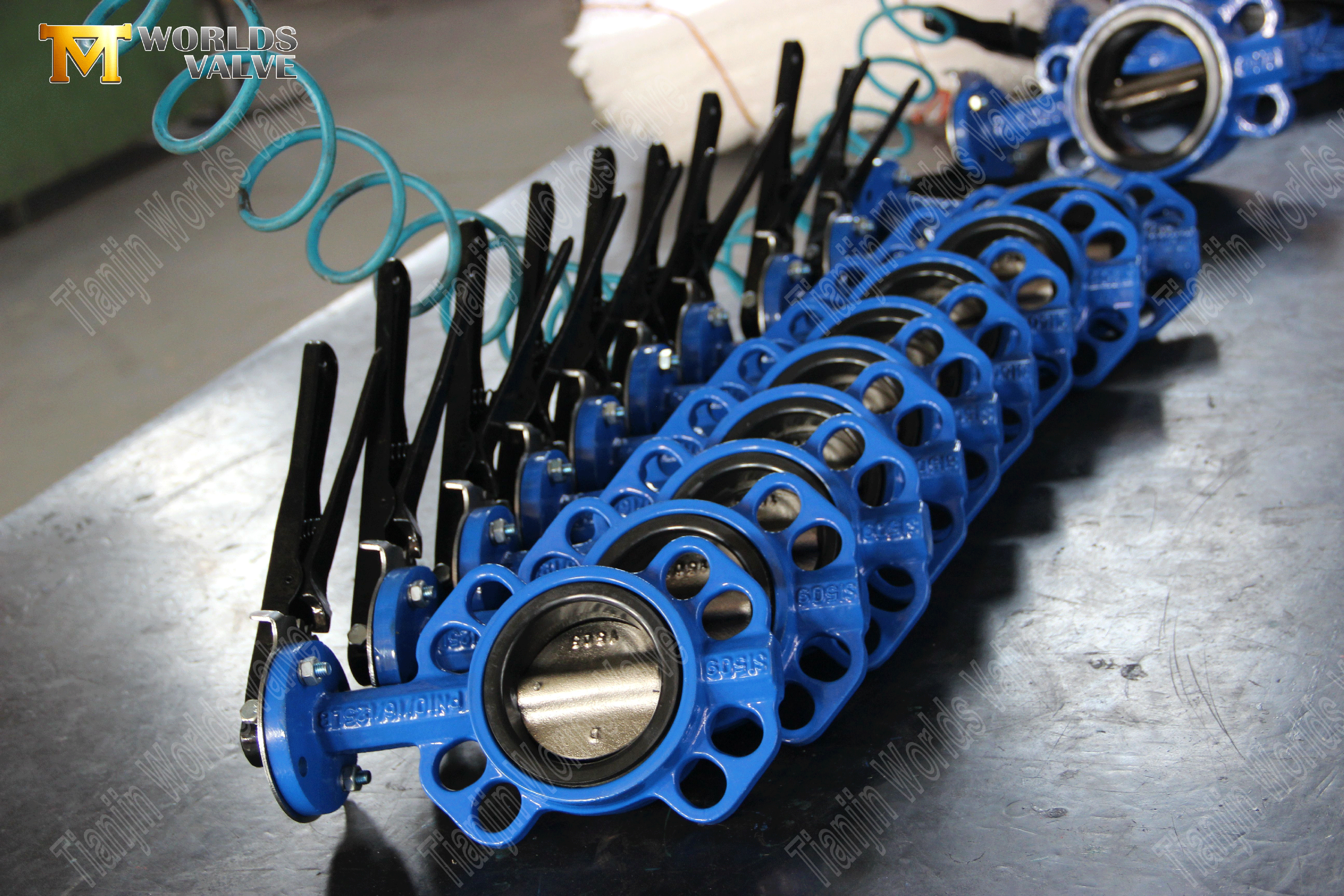 웜 기어 작동 웨이퍼 타입 버터 플라이 밸브가 늘어선 (10)