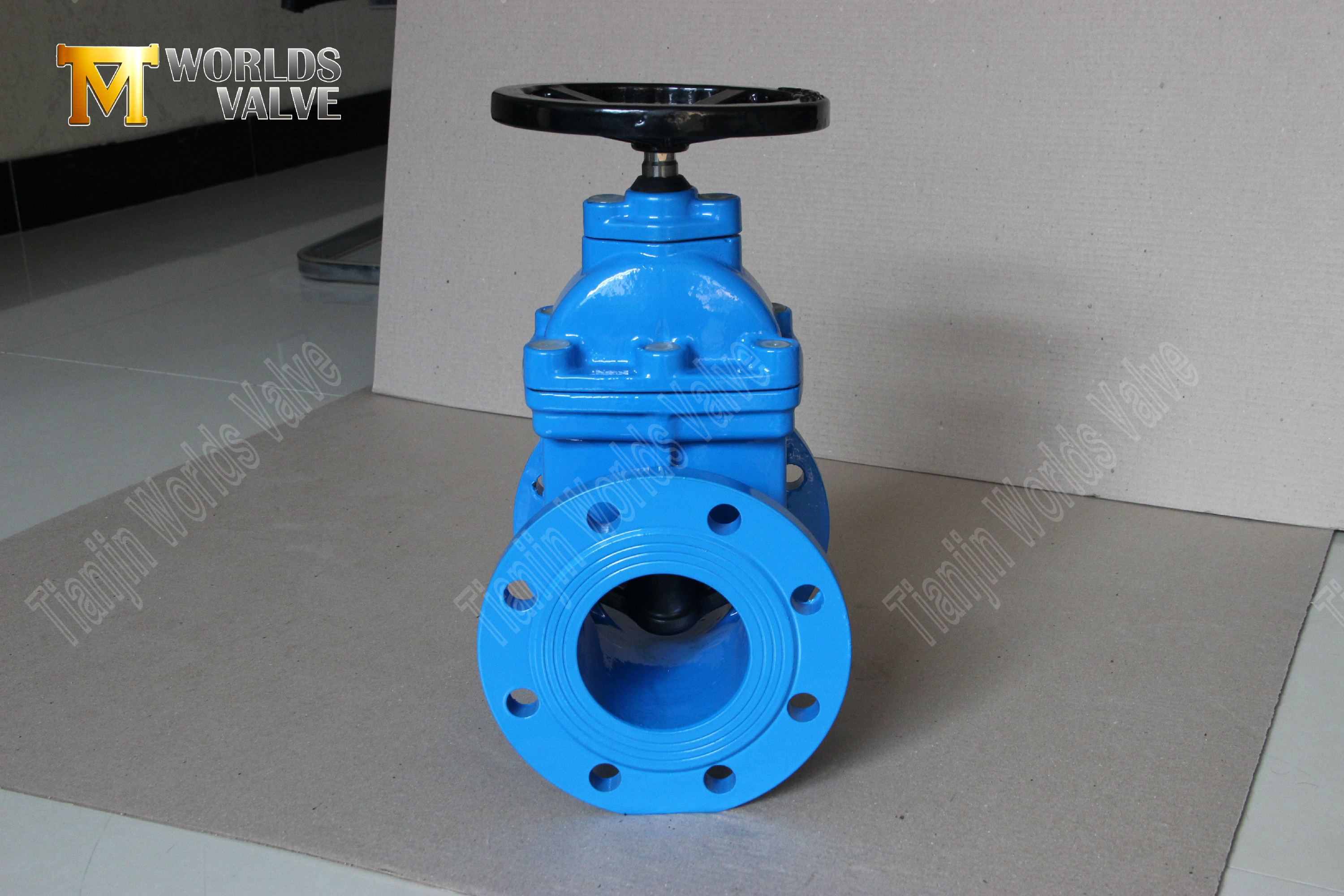 플랜지 타입의 탄력성 시트 게이트 밸브