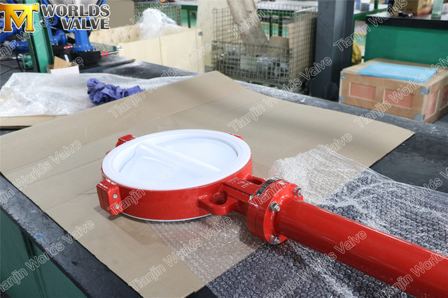Teflon Lined Butterfly Valve Manufacturers-Teflon Lined Butterfly Valve가 확장 스템이 있습니다.