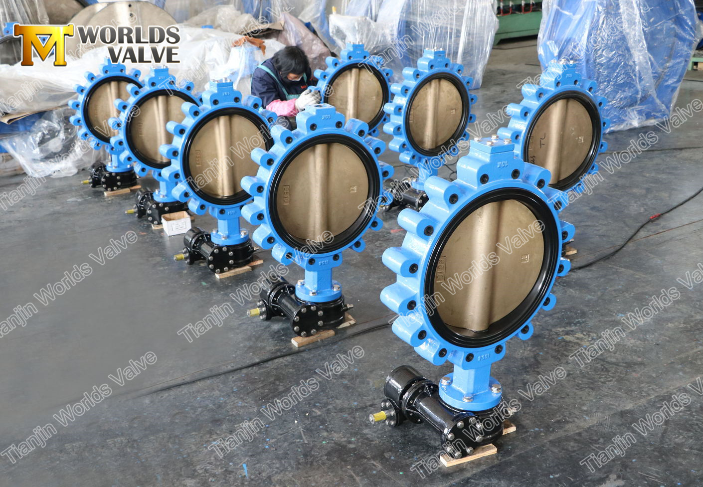 6 러그 형식 버터 플라이 밸브가 장착 박스가 있습니다