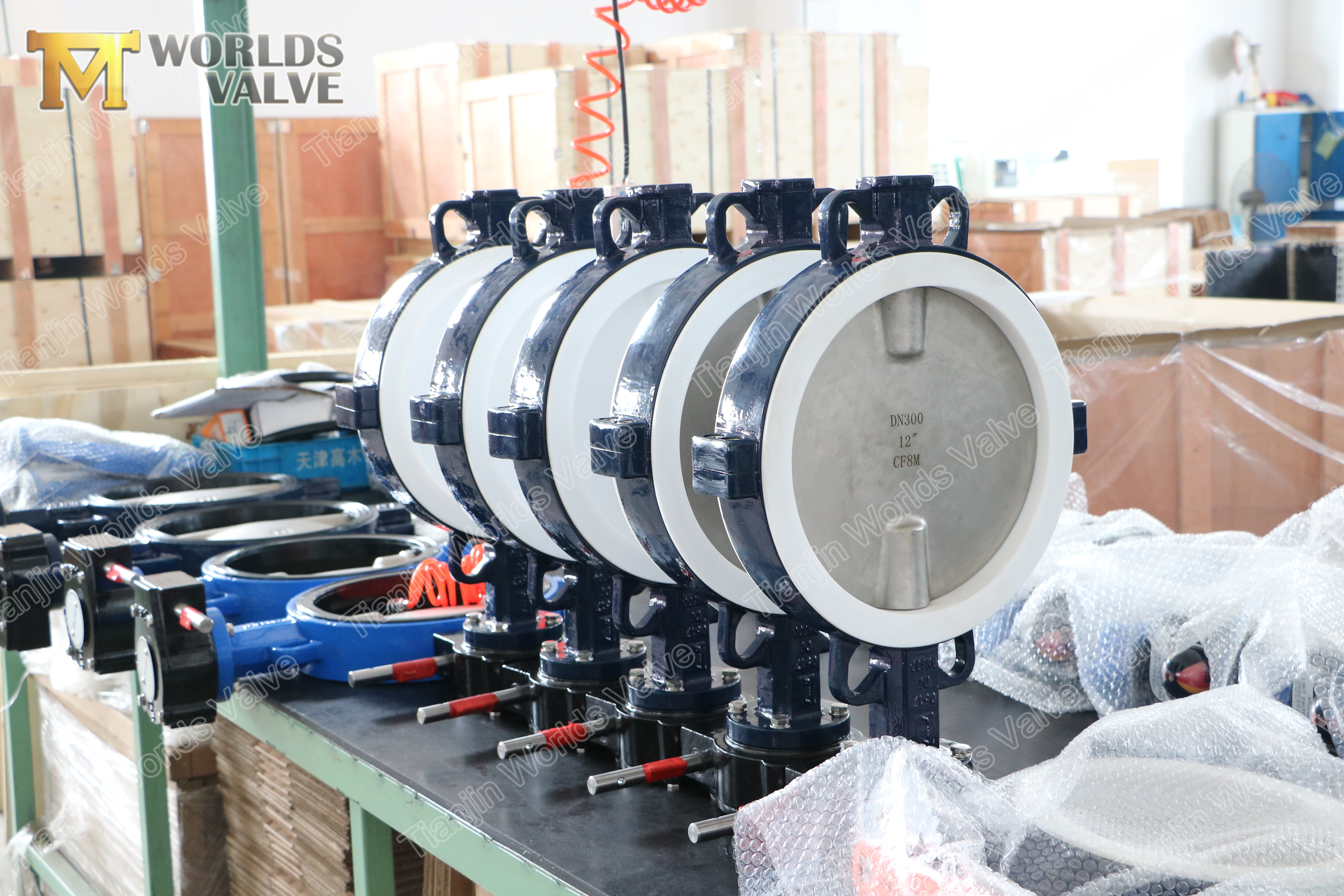 3 A536 A395 연성 철 PTFE 버터 플라이 밸브