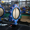 PN16 LUG 버터플라이 밸브 연성 철 본체 및 CF8M 디스크 | China OEM Valve Supplier