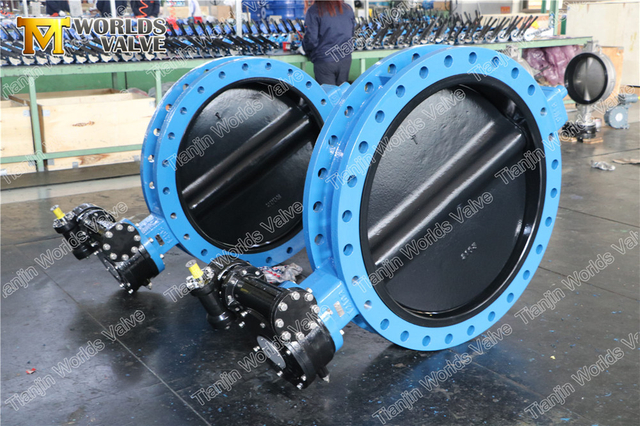 Halar 페인트 디스크 U 섹션 고무 버터 플라이 밸브