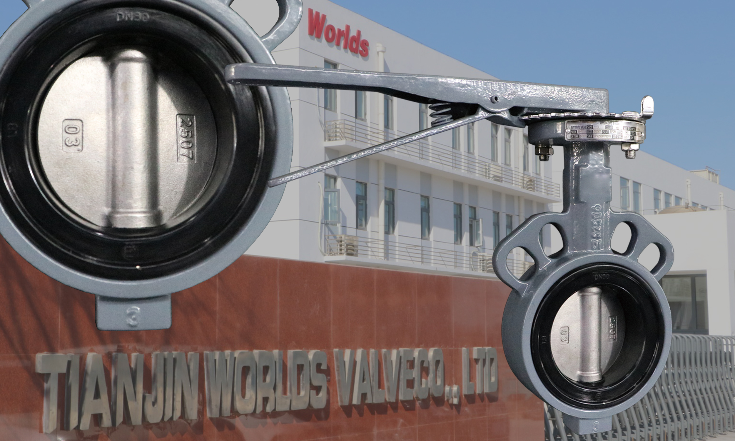 소프트 씰 EPDM 커버 SS 2507 디스크 버터플라이 밸브(웨이퍼 유형 설계 포함) | 우수한 부식 및 내마모성