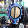 PN16 LUG 버터플라이 밸브 연성 철 본체 및 CF8M 디스크 | China OEM Valve Supplier