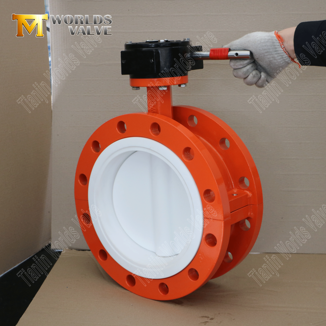 DN600 2피스 플랜지형 PTFE 버터플라이 밸브(WCB 본체 및 기어 작동식)
