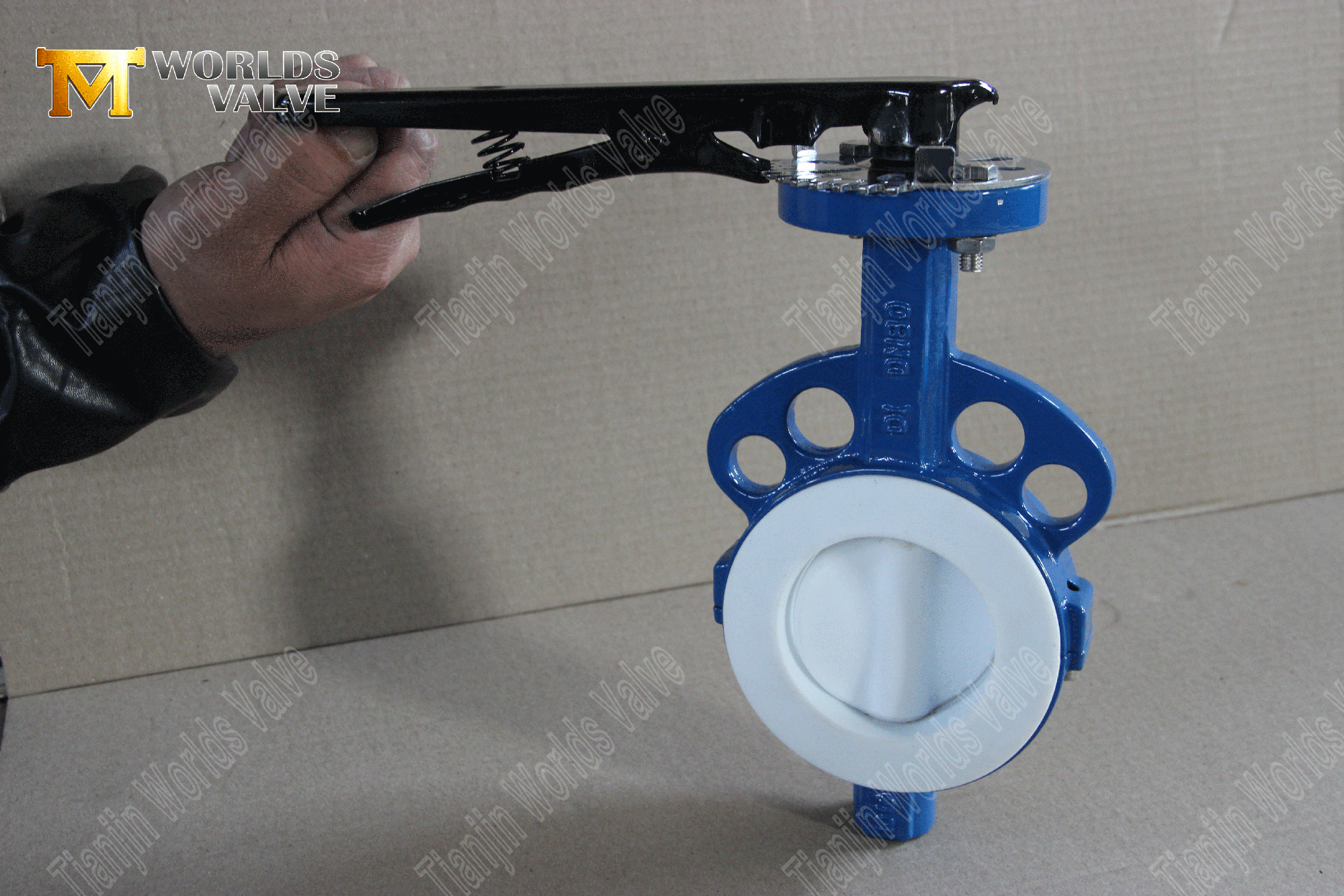 ptfe-rely-lined-wafer-butterfly-valve- (6)