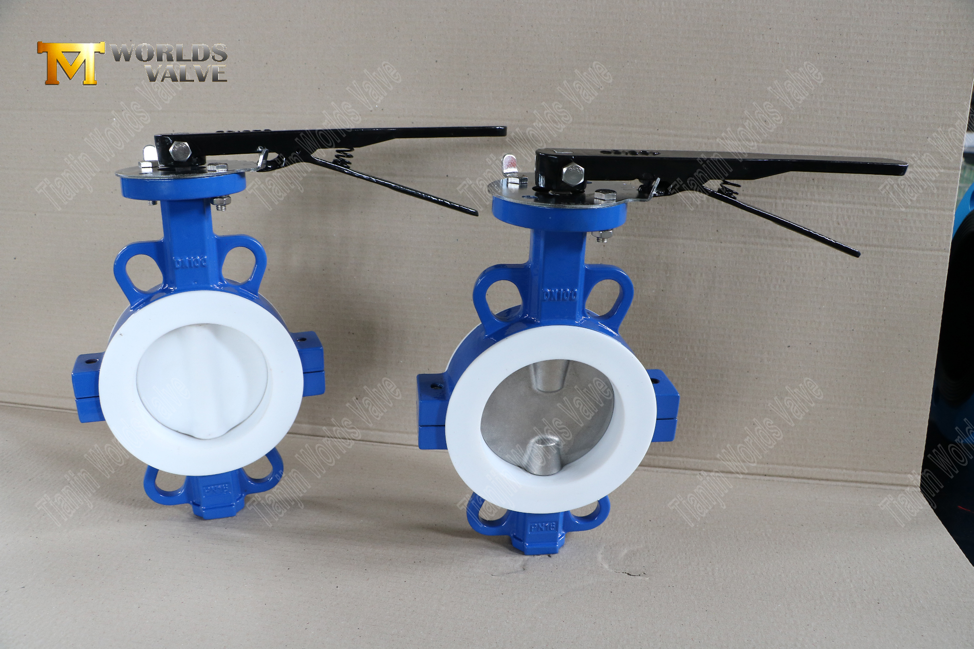 DN100-TEFLON-LINED-WAFER-SPLIT-BODY-BUTTERFLY-VALVES-CORROSION-restant-Flow-Control- (9)