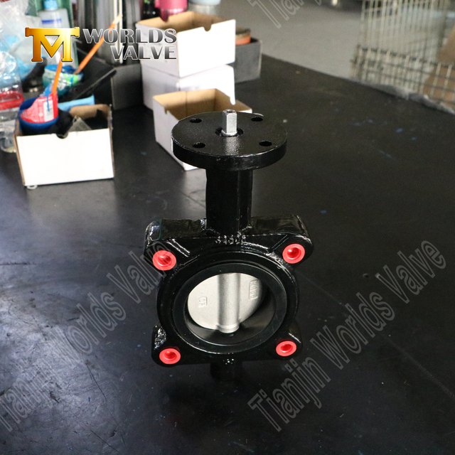 CF8M 디스크가있는 EPDM 시트 버터 플라이 밸브 | 러그 유형 산업 급 솔루션