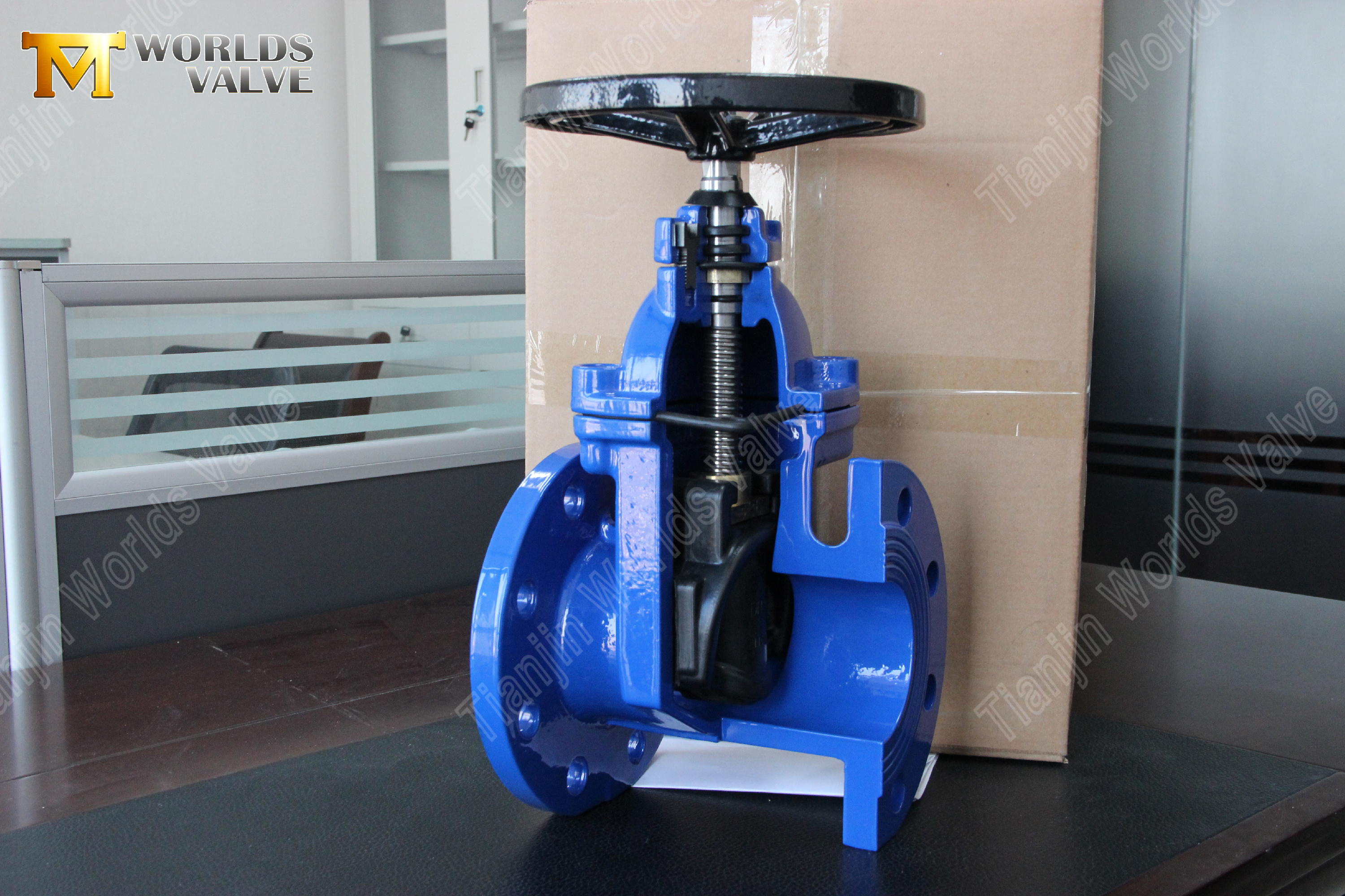 BS5163 탄력 있는 장착형 비상승 줄기 연성 철 게이트 밸브 신뢰할 수 있는 물 제어 솔루션-1 (1)